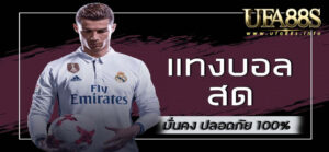 แทงบอลสด
